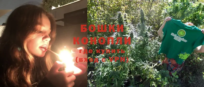 Конопля OG Kush  купить наркоту  Карабаново 